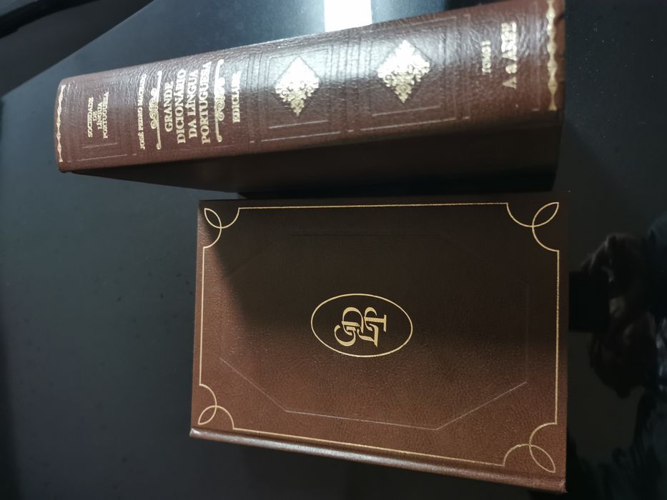 Dicionários da língua portuguesa.