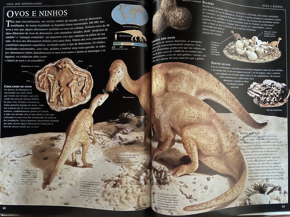 Livro Guia dos Dinossauros