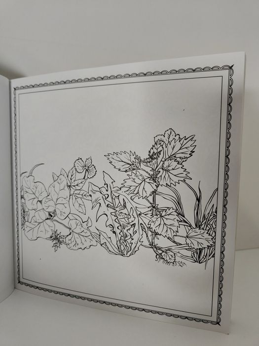 Cuda ogrodów – kolorowanka relaksacyjna