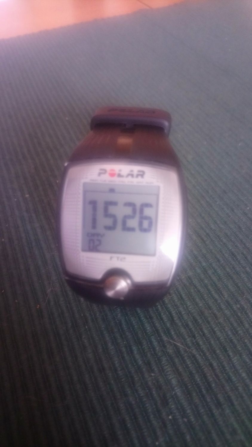 Zegarek Polar Ft2.