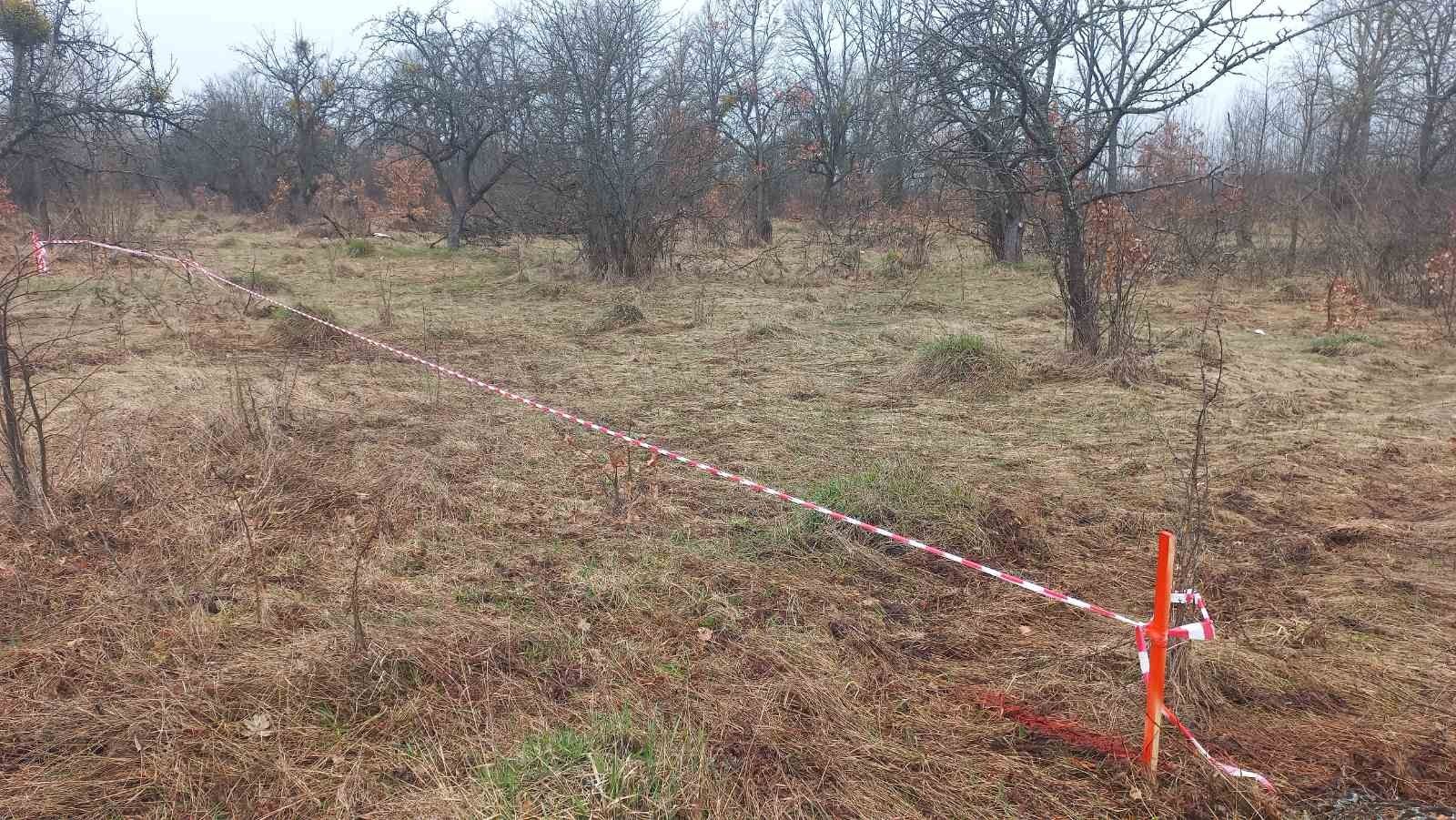 Земельна ділянка в НОВОМУ МАСИВІ с. Світин, Житомирська об.