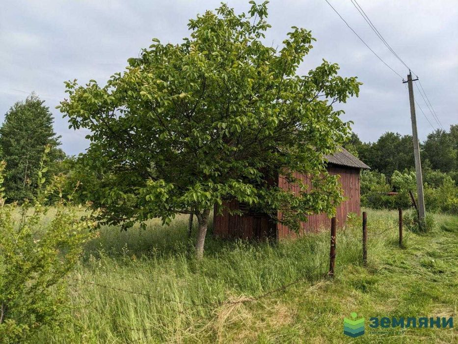 Продаж дачної ділянки 7 сот в Павлівці, СТ Чорнобиль (10)