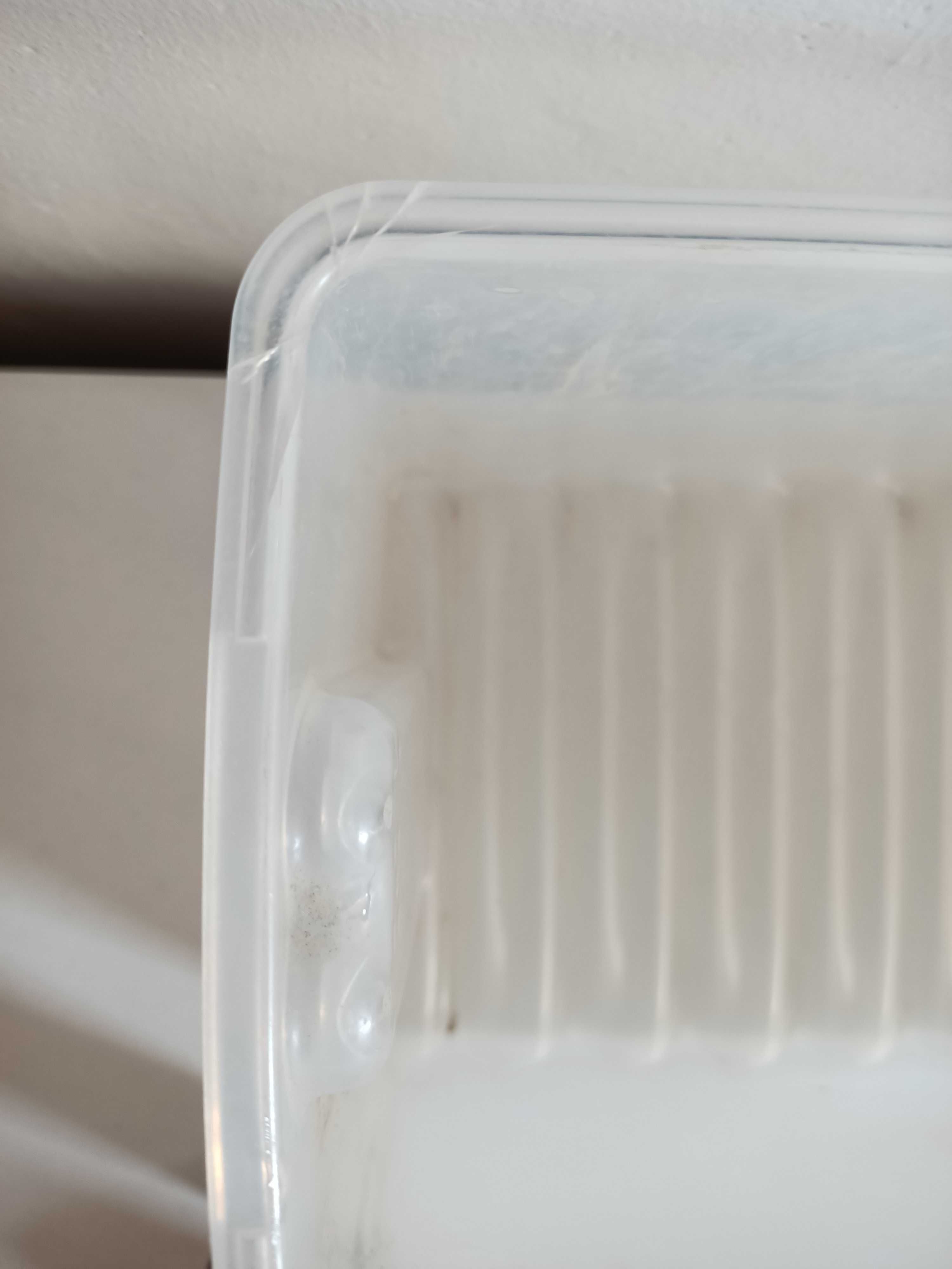 Tupperware pojemnik uniwersalny na warzywa do lodówki z pokrywką