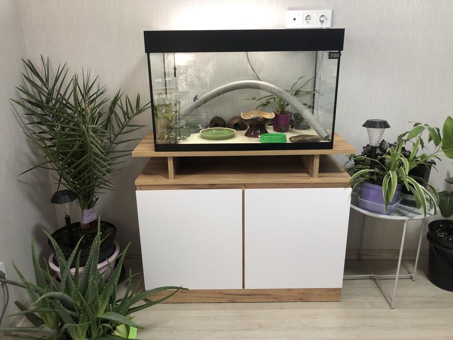 Укомплектованый и оборудованный аквариум террариум с тумбой и питомцам