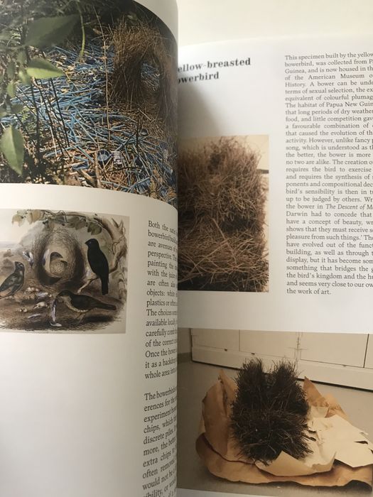 Ovos historia do colecionismo de ovos