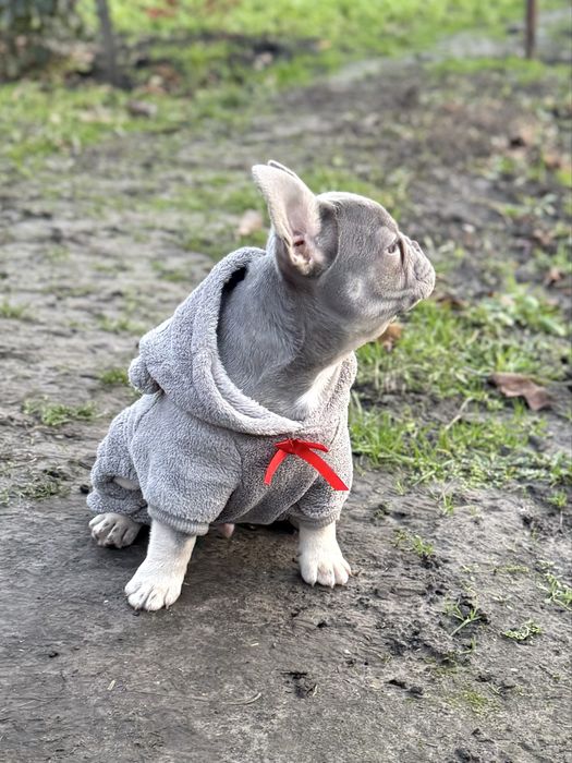 Харизматичний  красунчик