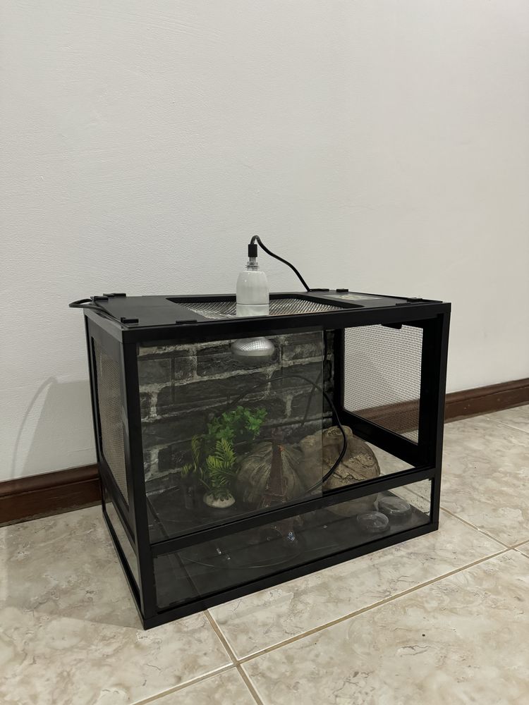 Terrario para repteis