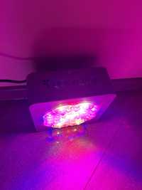 Lampa led do roslin Luckygrow modular110 + zrodlo swiatla. Growbox