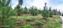 Terreno em Bela de 1,00 m2