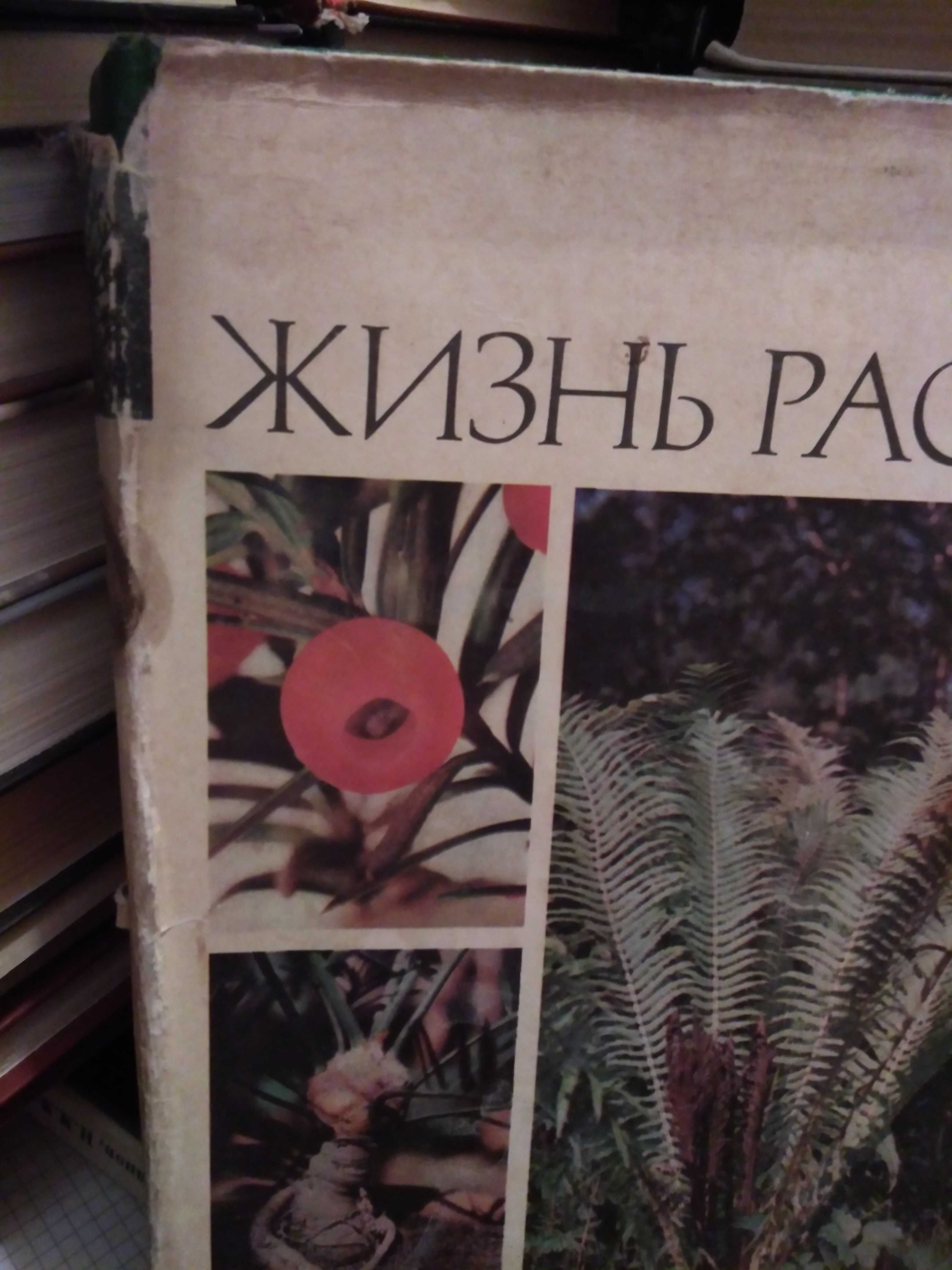 Жизнь растений Том 4 Мхи. Плауны. Хвощи. Папоротники