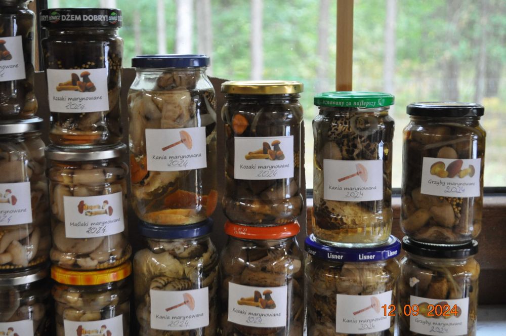 Grzyby marynowane maślaki kozaki podgrzybki rydze kanie ZBIÓR 2025