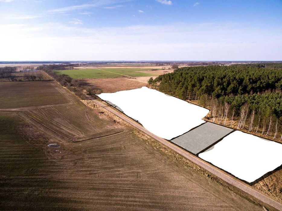 Murzynowo Warcińska ,piękna okolica , 200m Warta ,wejście do lasu