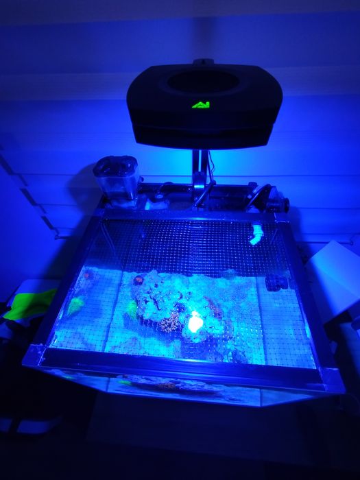 Aquário água salgada 45x45x45 Completo