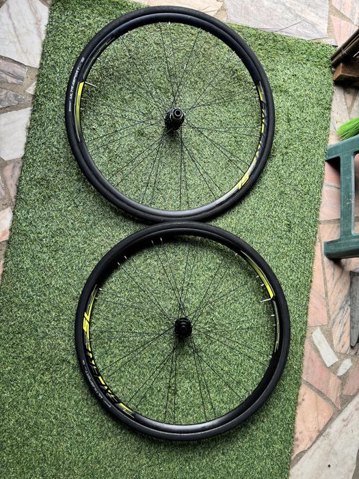 Rodas de Estrada Alexrims