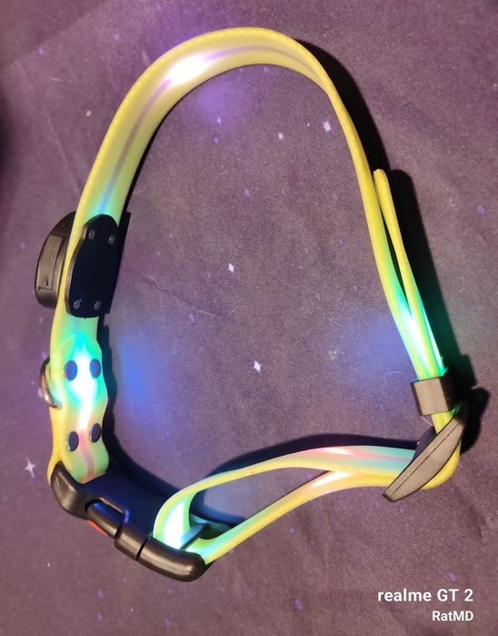 Świecąca obroża dla psa ładowana na USB