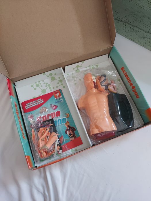 Brinquedo educativo Corpo Humano