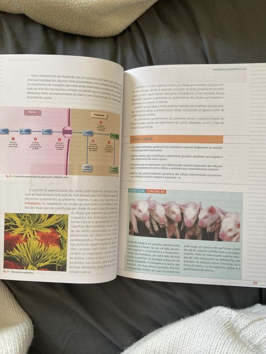 Terra, Universo de Vida - Biologia e Geologia 11° ano