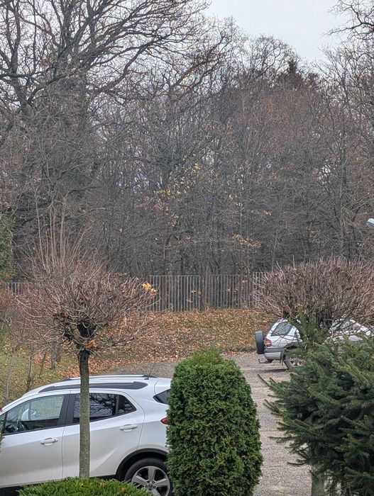 3 pokojowe 67m2 po generalnym remoncie, garaż w cenie