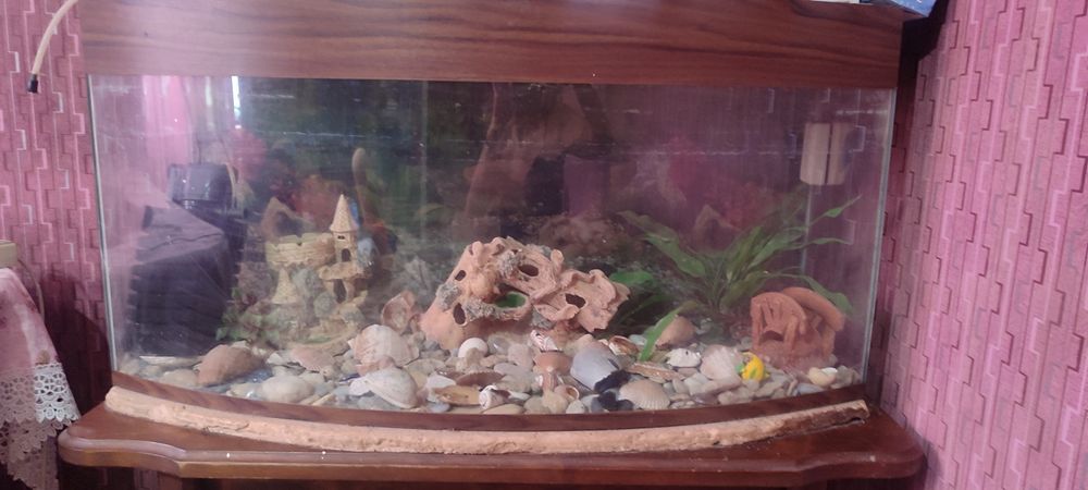 Акваріум із столиком