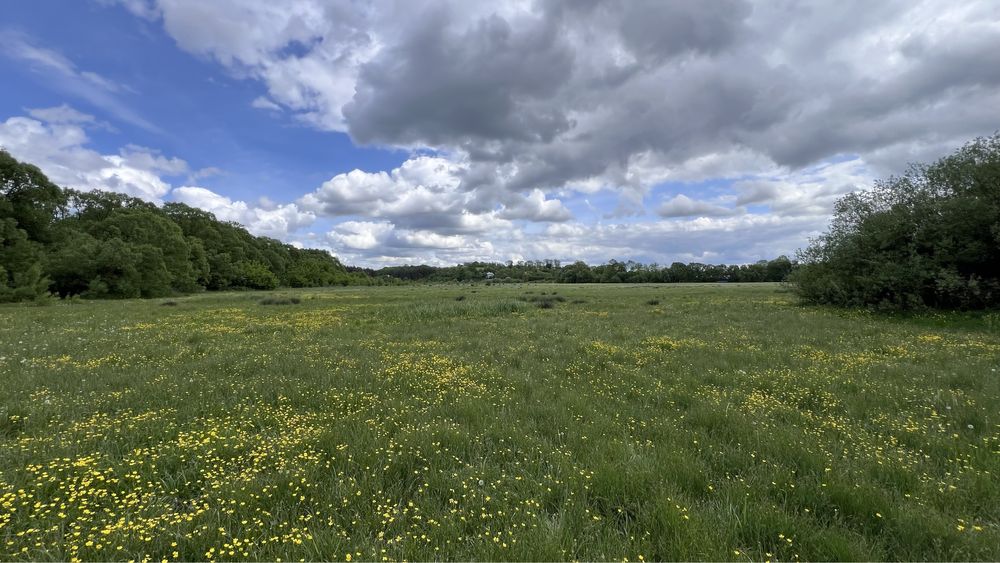 Продаж земельної ділянки Івачів