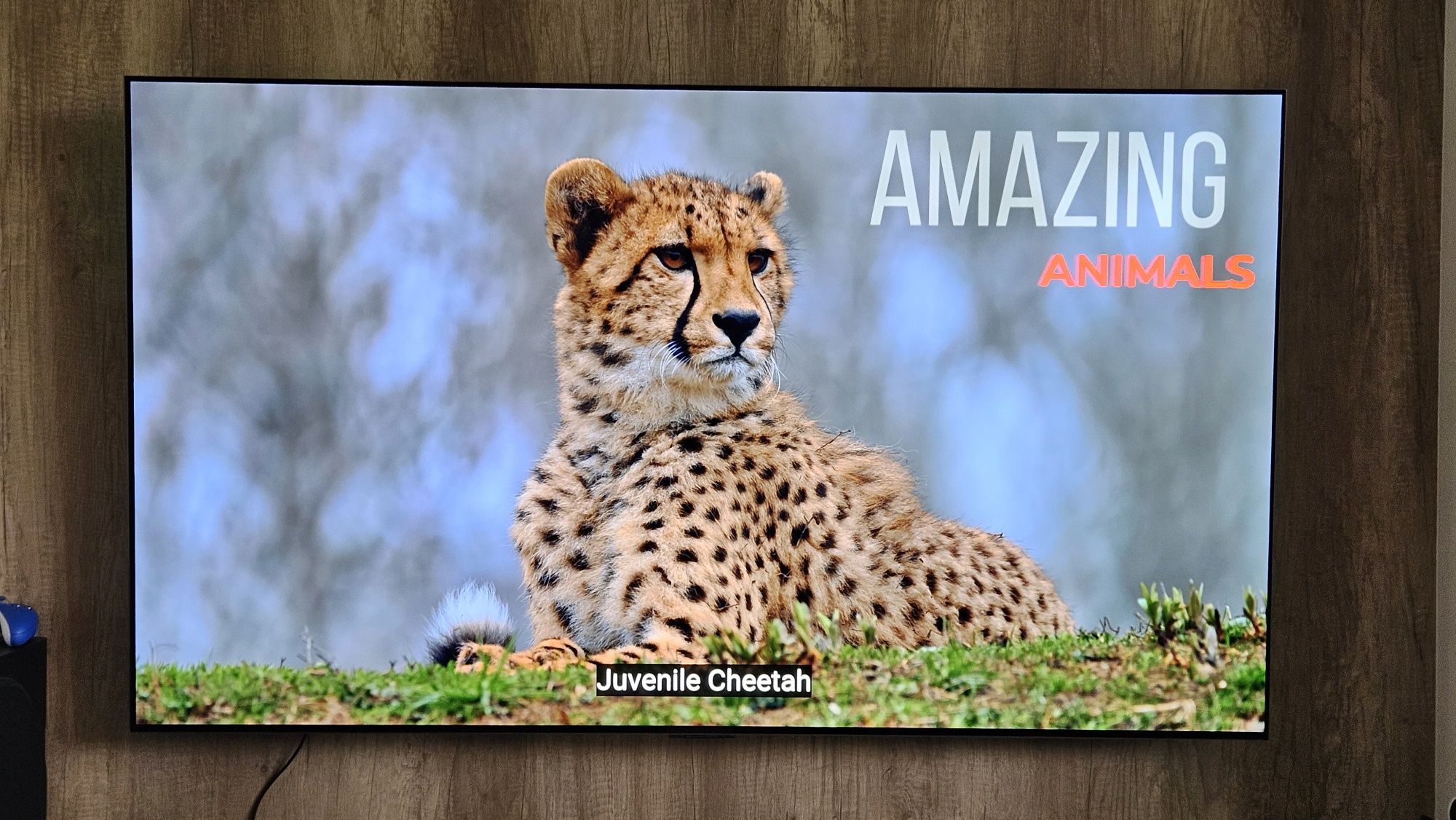 Telewizor LG OLED 65" C21 gwarancja