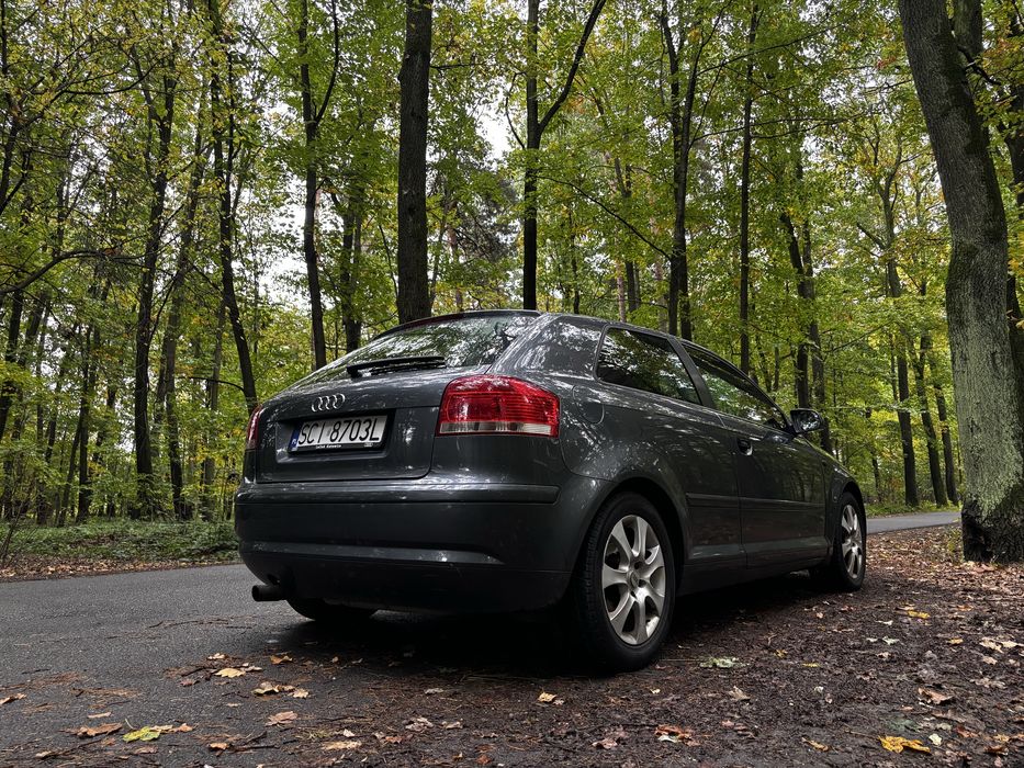 Audi A3 8p 1,6+Lpg