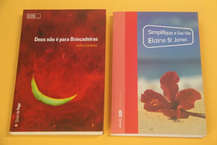 Livros "Simplifique a sua vida" + "A escolha é tua" etc