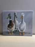 obraz na płótnie canvas kaczki ducks 50x40 cm