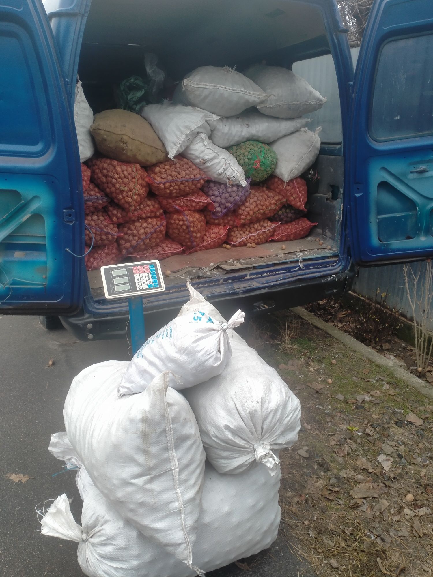 горіхи в шкарлупі недорого