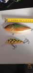 Wobler Salmo Salmon Slider zestaw