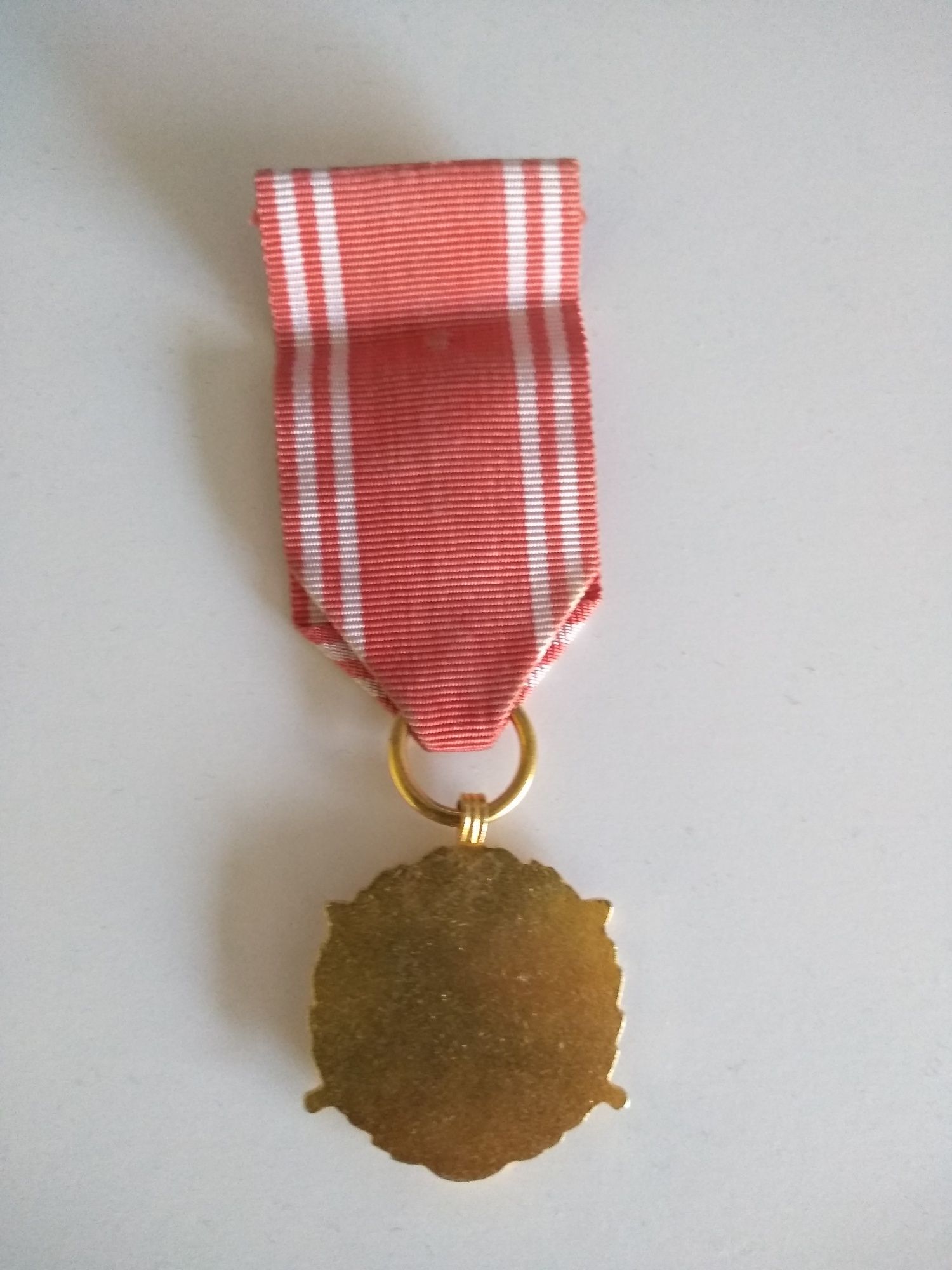 Medal złoty siły zbrojne w służbie ojczyzny