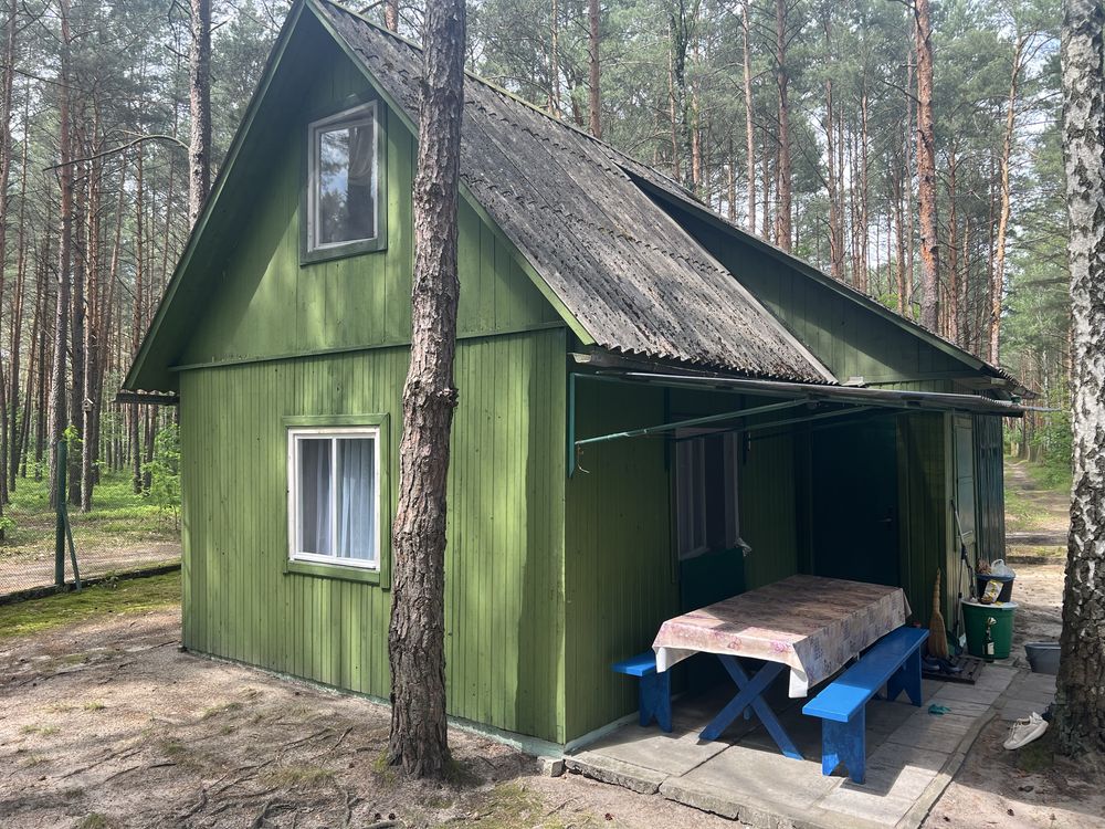 Відпочинок озеро Пісочне Шацьк (перша лінія)