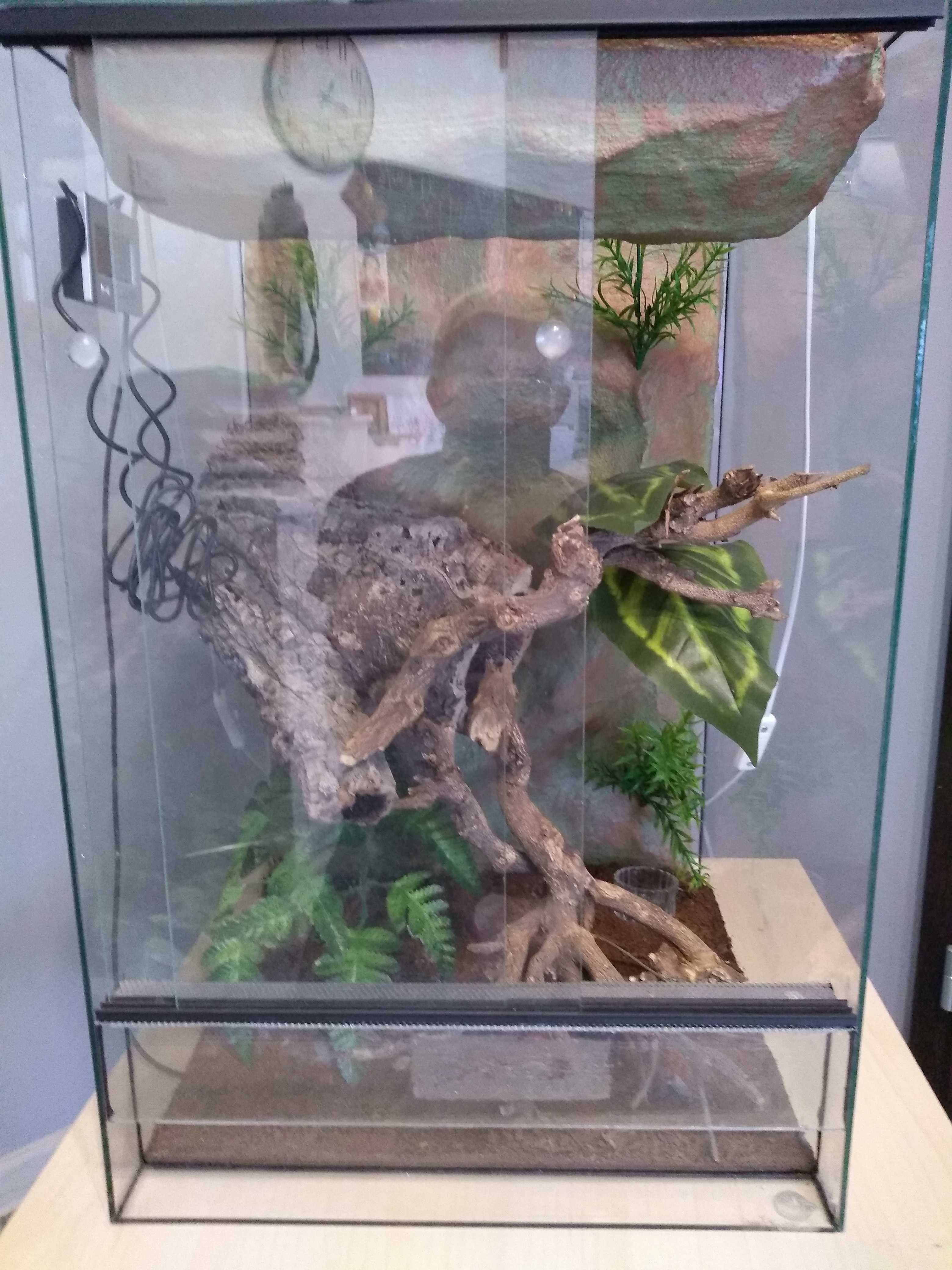 Terrarium dla gekona