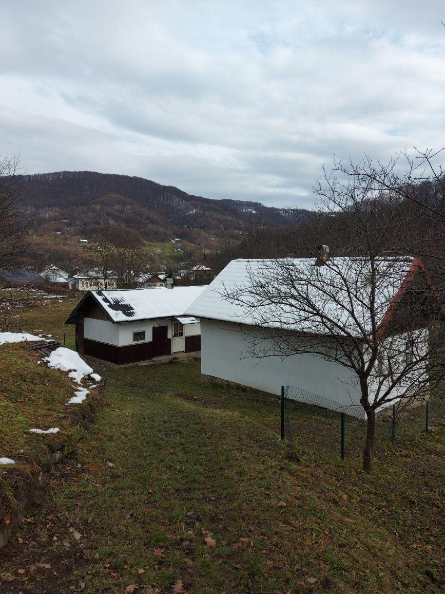 Будинок Вижницький р-н, с. Виженка