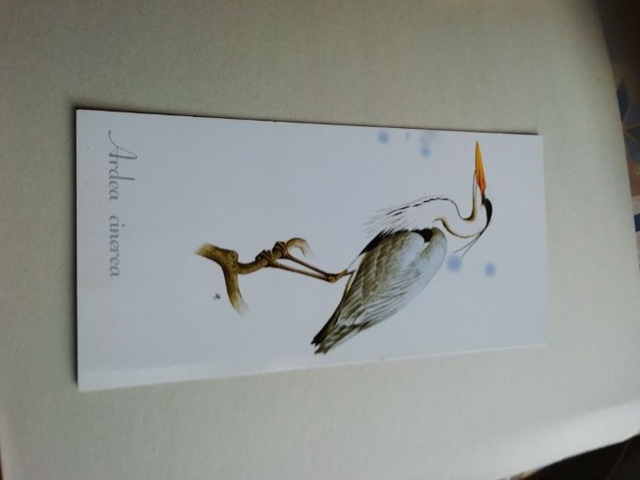 O porquê de conservar e a toupeira