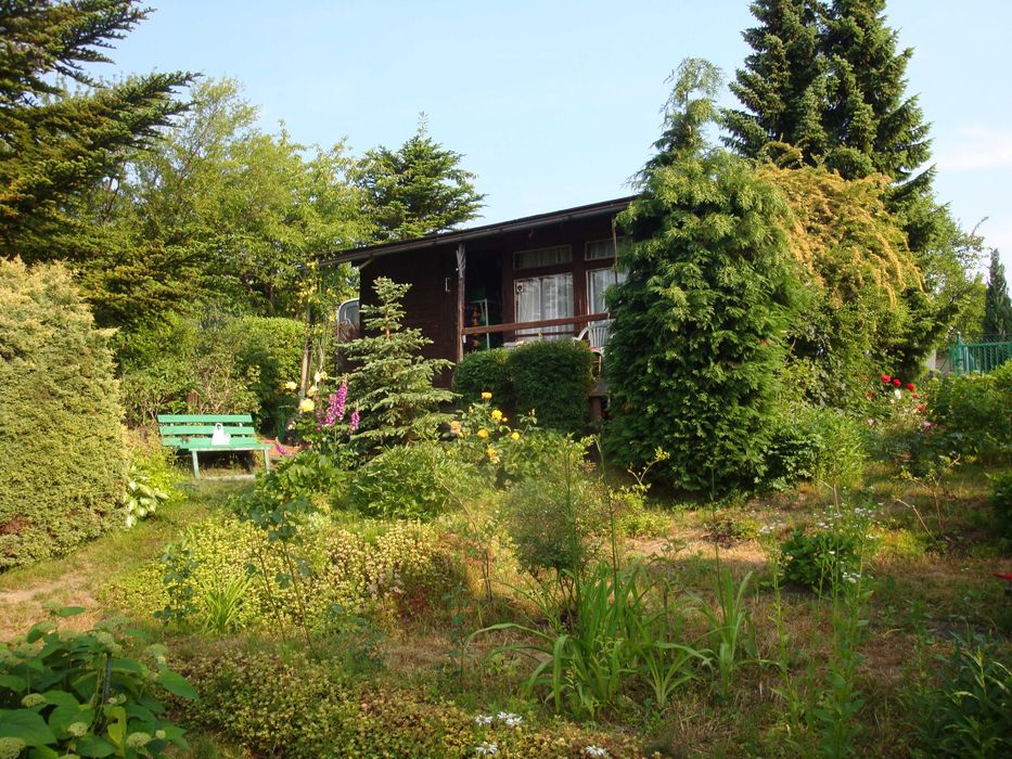 Dzialka ROD Gdańsk Morena ul Wołkowyska 21