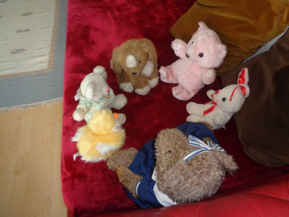 Os amigos Peluches procuram novo quarto