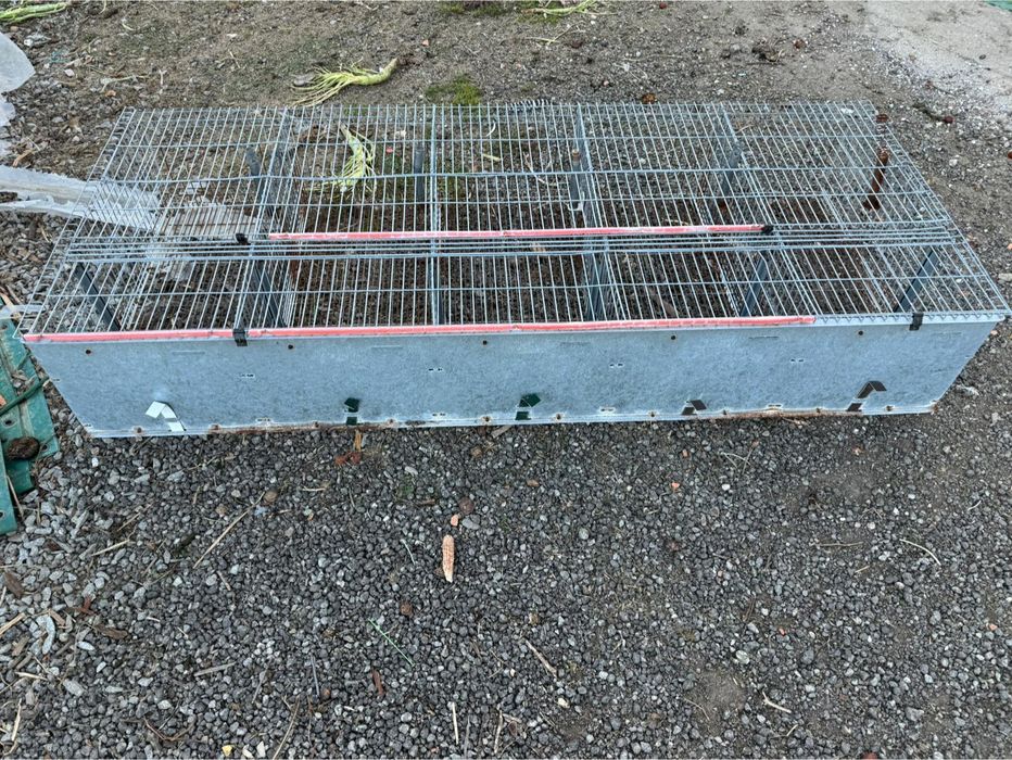 Gaiola para coelhos