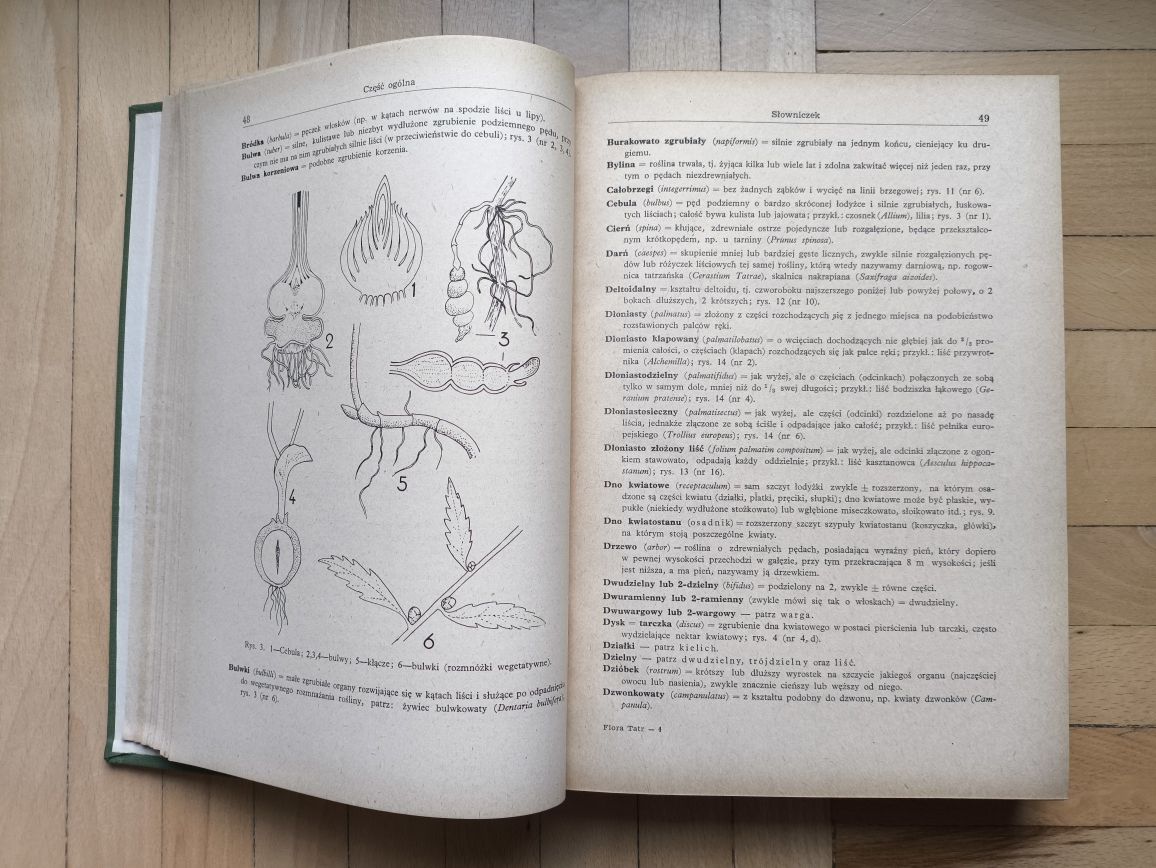 Bogumił Pawłowski Flora Tatr tom I Rośliny naczyniowe PWN 1956