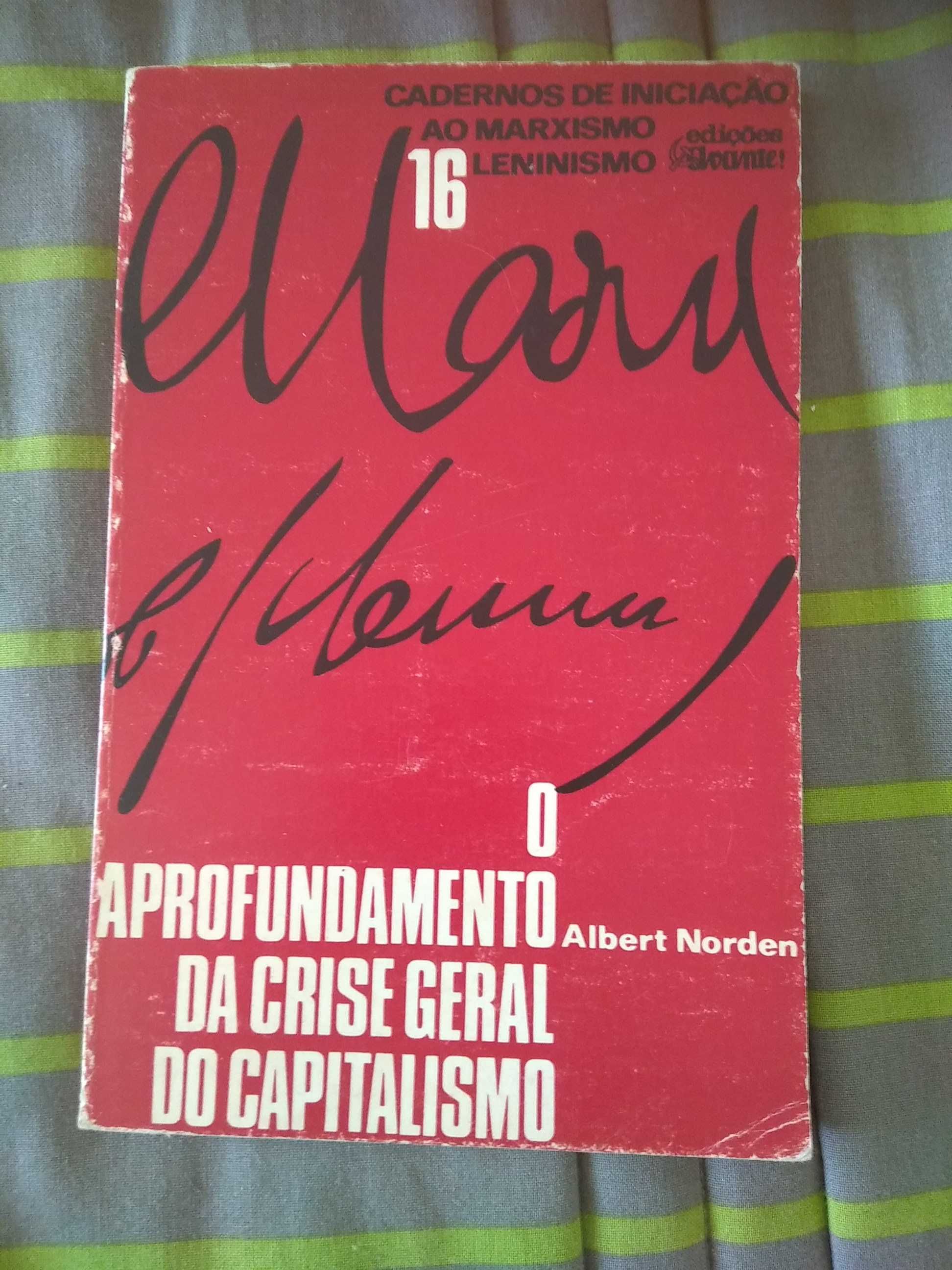 Albert Norden - O aprofundamento da crise geral do capitalismo