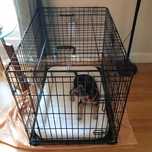 KLATKA DLA PSA metalowa składana 77CM transporter kojec solidny kennel