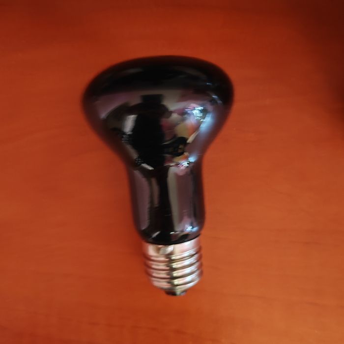 Żarówka do terrarium noc 220-240v 25 w