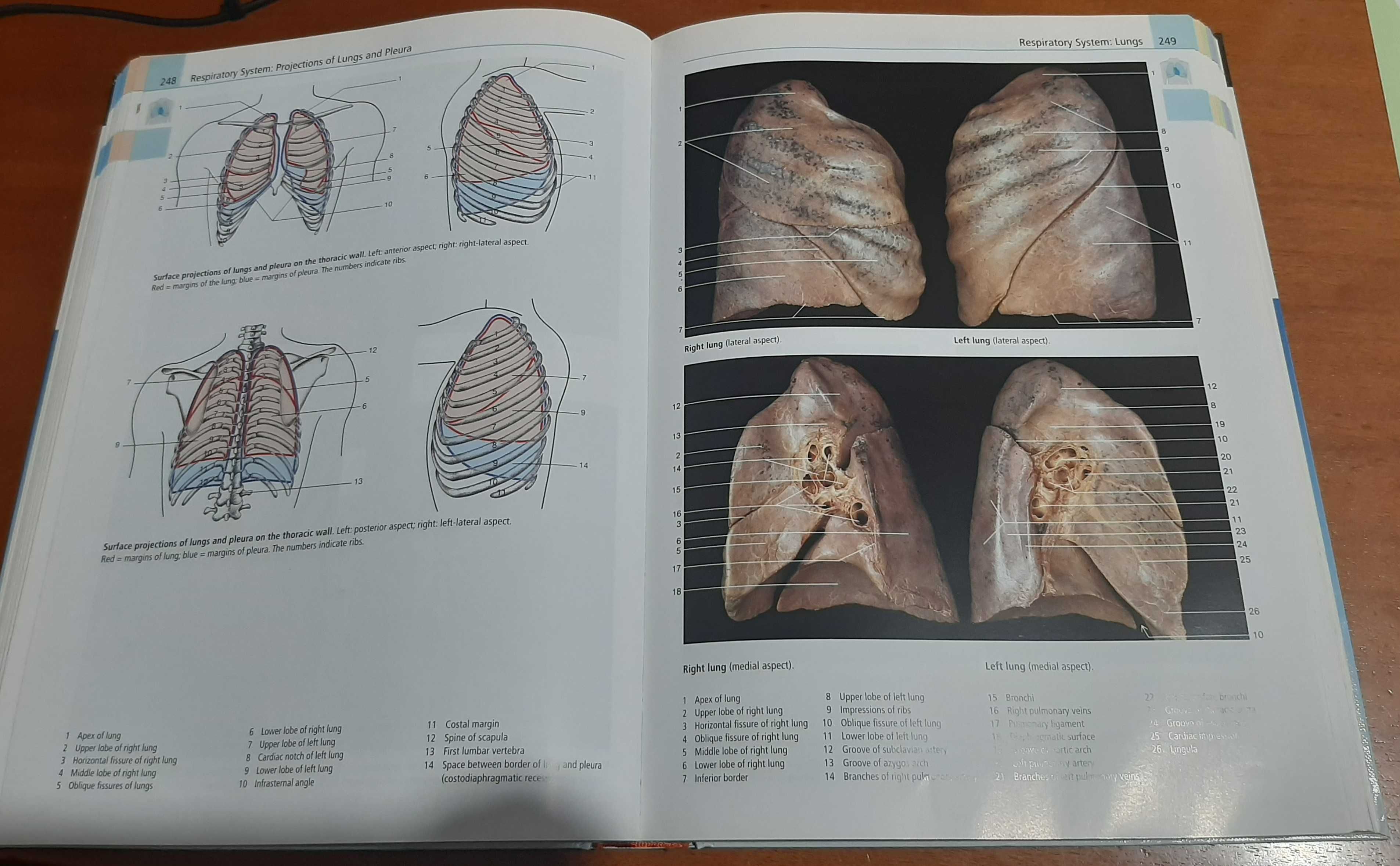 Livro - Color Atlas of Anatomy: A Photographic Study of the Human Body