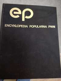 Encyklopedia popularna PWN