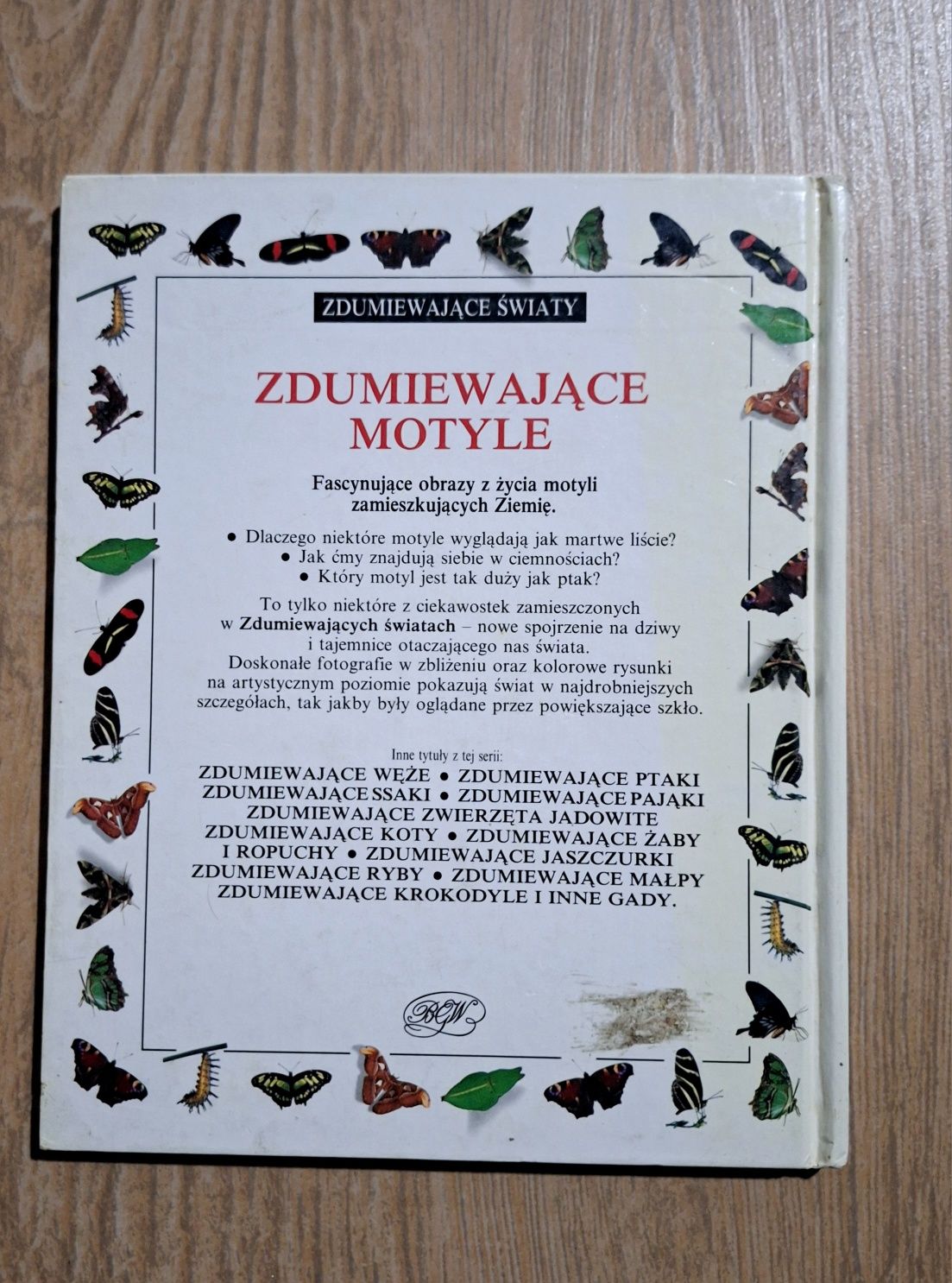 Motyle zdumiewające swiaty