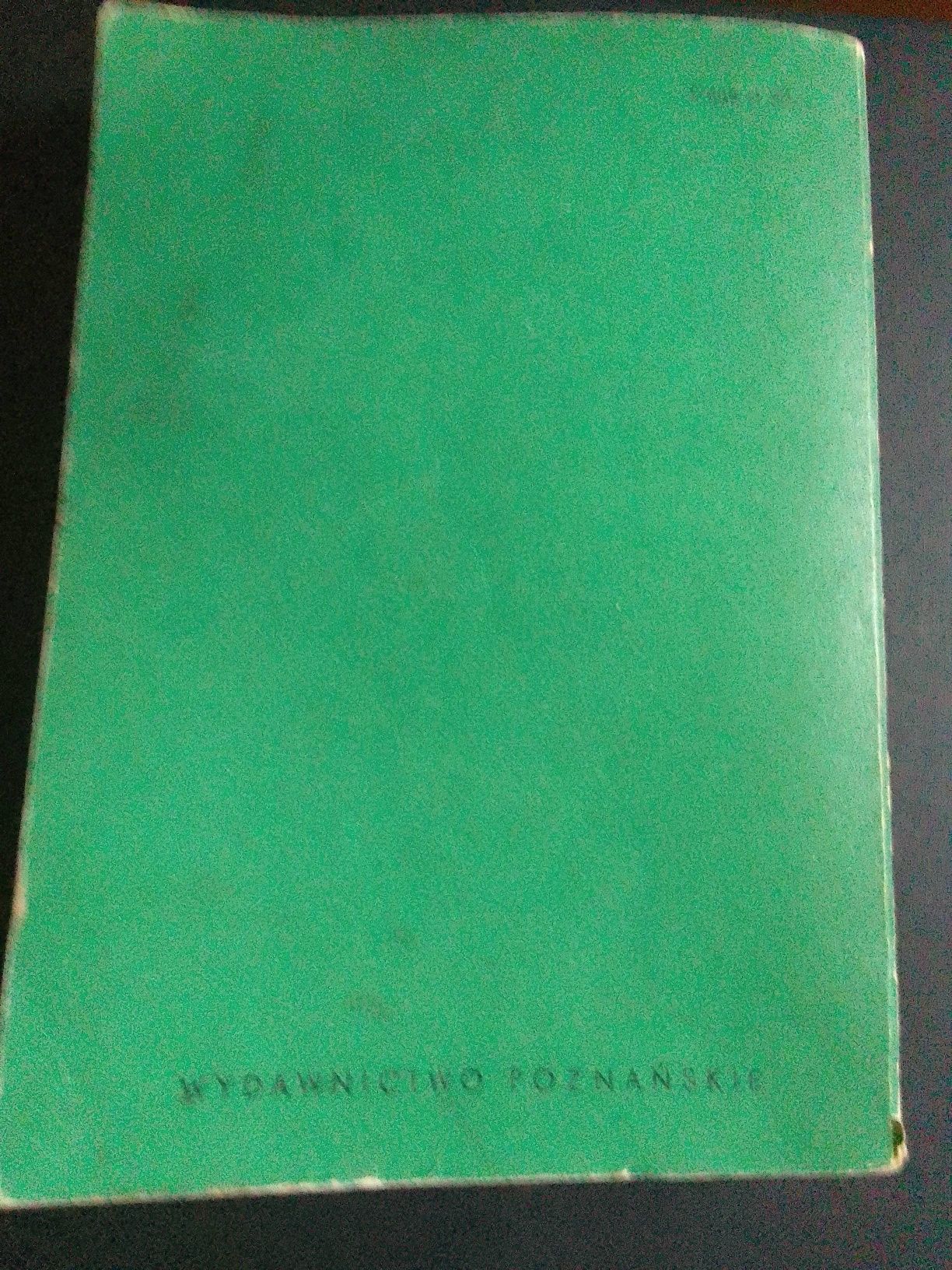 Zielone czyli wakacje w Dłusku, W. Rogowski