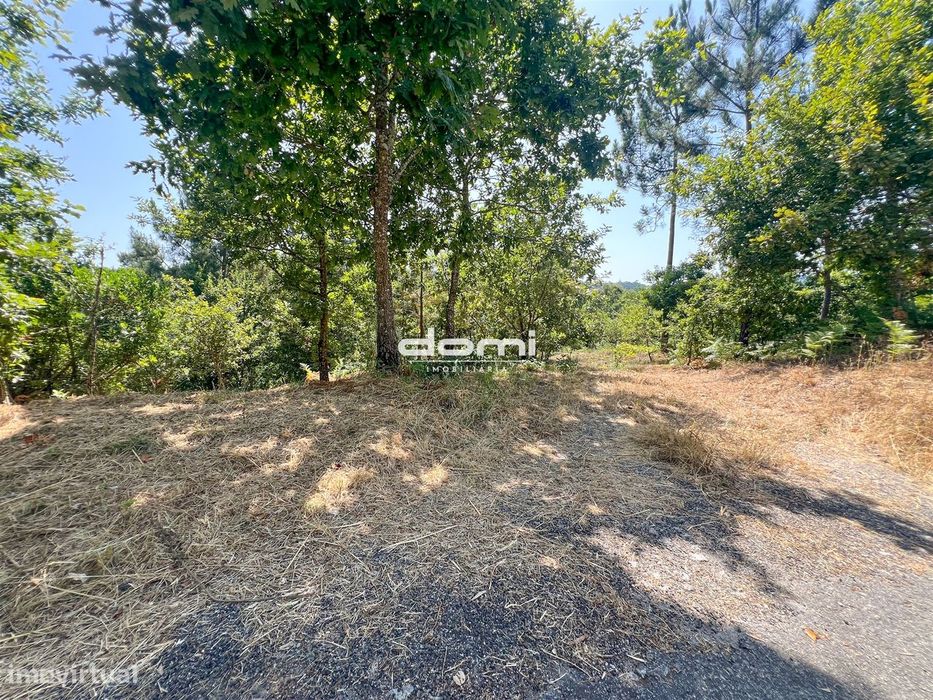 Terreno com viabilidade de construção – São Pedro do Sul