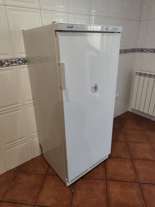 Arca congeladora vertical