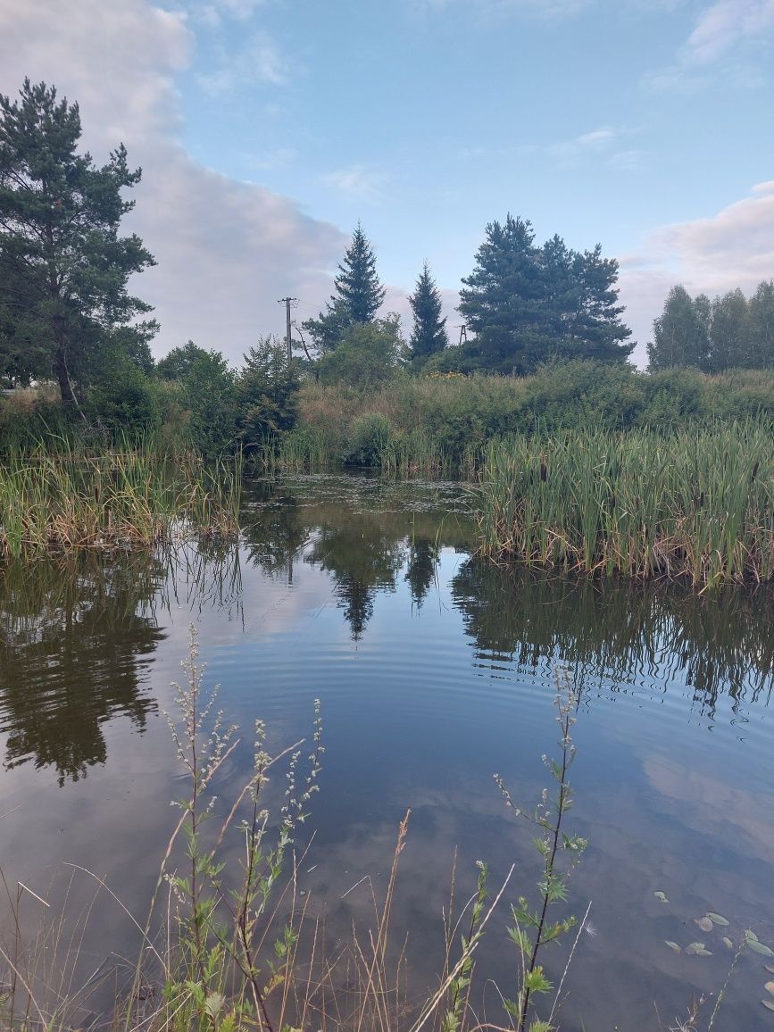 Noclegi, domek z antresolą, 6 osobowy.