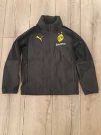 Bluza wiatrówka BVB Borussia Dortmund  Puma